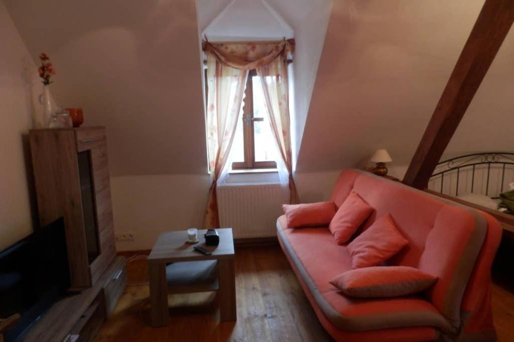 Zamecek Zdiky - Moderni Velky Apartman Bujanov Exterior photo